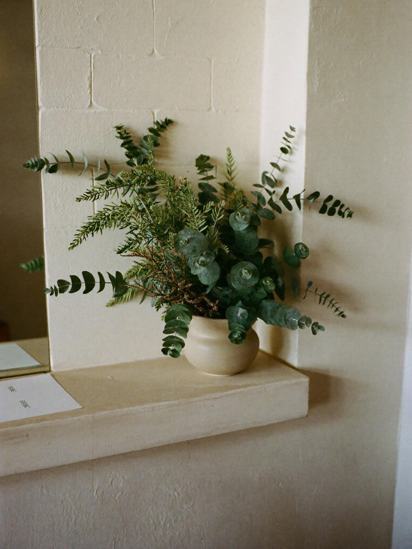 Native eucalyptus foliage in a ceramic vessel against a lime-wash wall